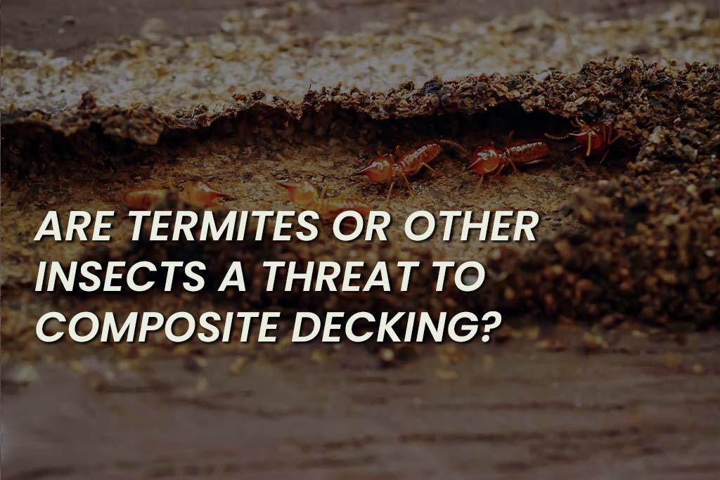 Are Termites Or Other Insects A Threat To Composite Decking