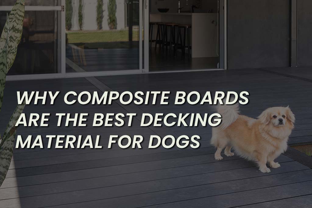 Why Composite Boards Are The Best Decking Material For Dogs